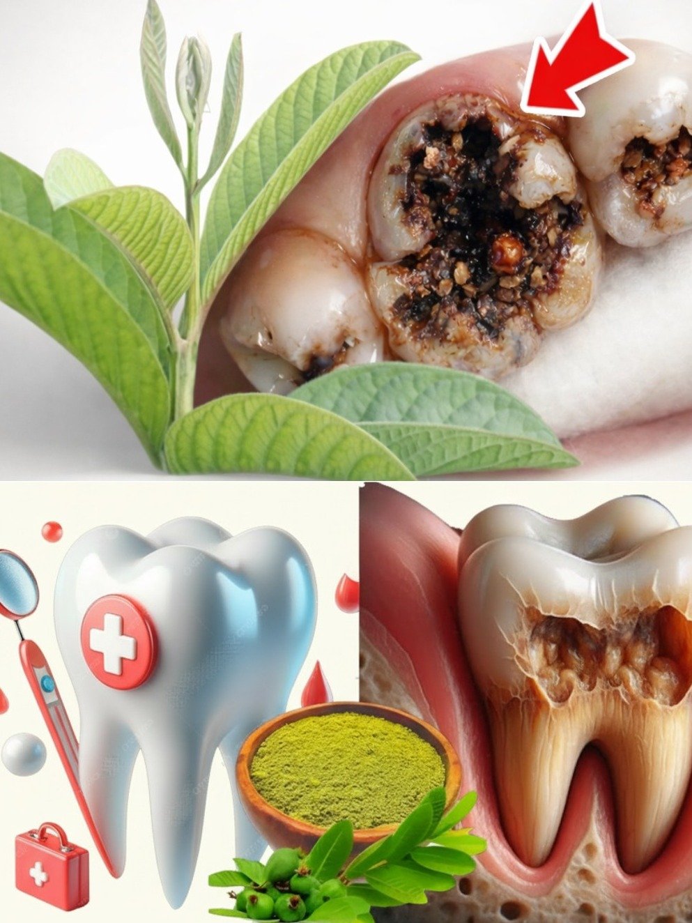 The Forgotten Secret to a Perfect Smile? 3 Guava Leaf Hacks That Could Save Your Teeth (and Wallet!)