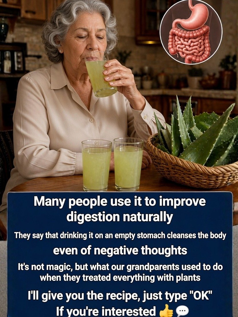 The ONE Plant You Need: 16 Incredible Ways Aloe Vera Boosts Your Health (You'll Wish You Knew Sooner!)