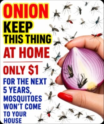 Mosquitoes HATE This! Add Just 1 Secret Ingredient to Onion and Banish Them for Weeks!
