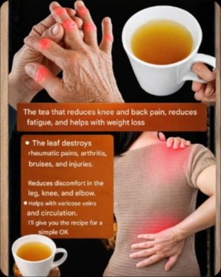 The Forgotten Secret: This Simple Leaf Tea Could Be Your Key to Unlocking Unbelievable Joint Comfort & All-Day Vitality!
