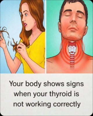 10 Hidden Signs Your Thyroid Is Failing You (And Why You Can't Afford to Ignore Them)