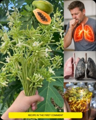 Unlock Your Best Self After 30: The 17 Hidden Powers of Papaya Flowers You NEED to Know!