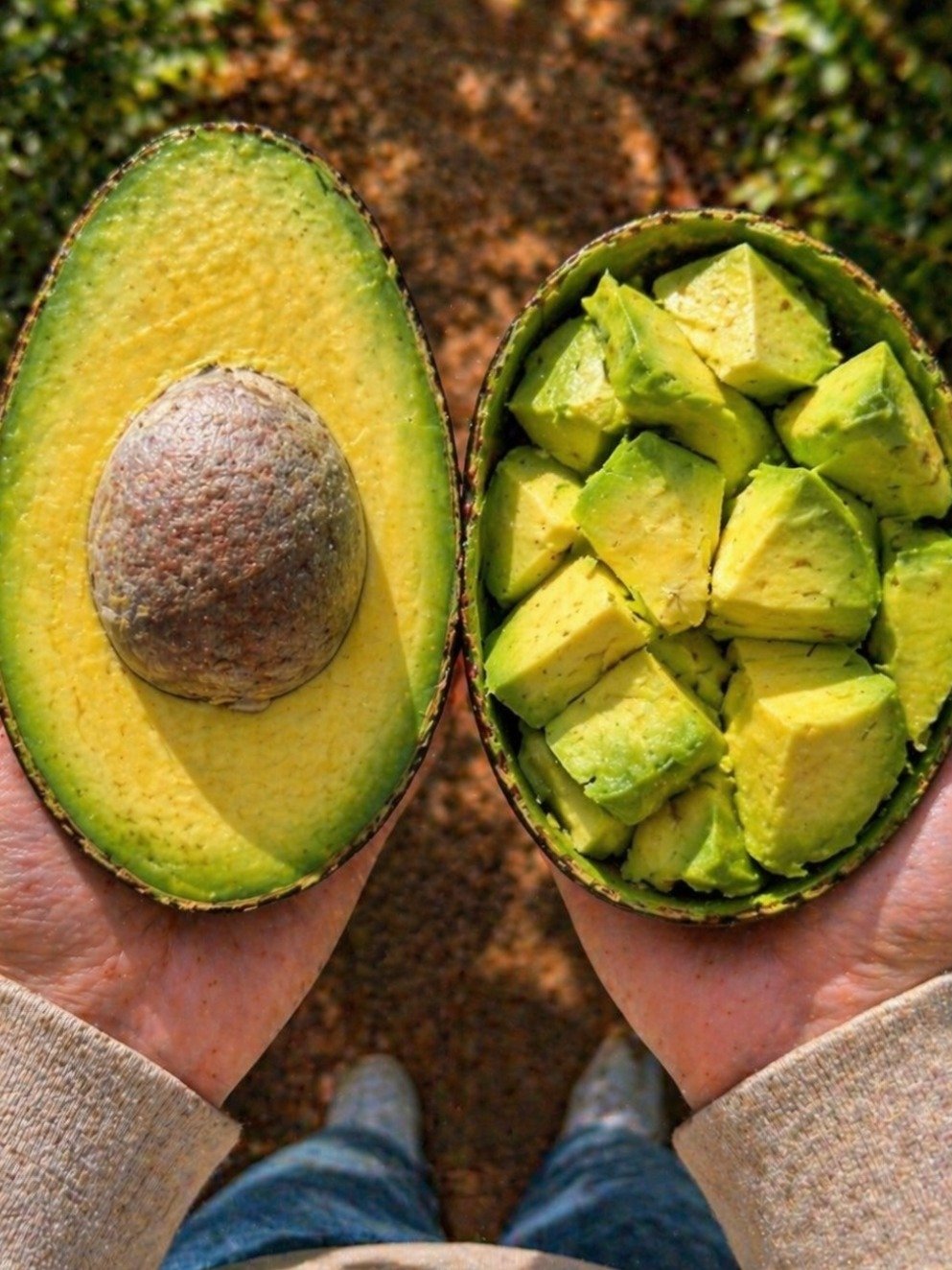 The ONE Superfruit You NEED to Eat Daily: What Happens to Your Body Will SHOCK You!