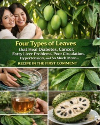 Unlock Nature's Hidden Power: These 4 Everyday Leaves Could Transform Your Blood Sugar & Pressure!