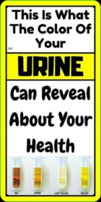 The #1 Health Secret You're Missing: What Your Urine Color *Really* Says About Your Body (Don't Ignore This!)