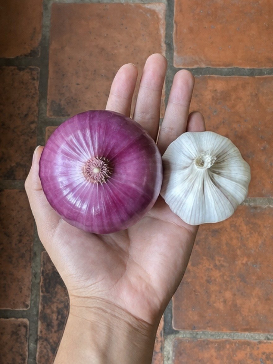 The Ancient Secret Revealed: This Boiled Red Onion & Garlic Drink Could Revolutionize Your Urinary Health!