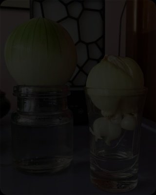 Don't Miss Out: The Shocking Truth About Putting Onions In Your Room For Immunity (And What Science REALLY Says!)
