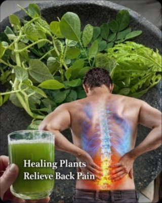 Unbelievable! This 4-Leaf Ancient Secret Naturally Erases Dark Spots (Forget Expensive Lasers!)