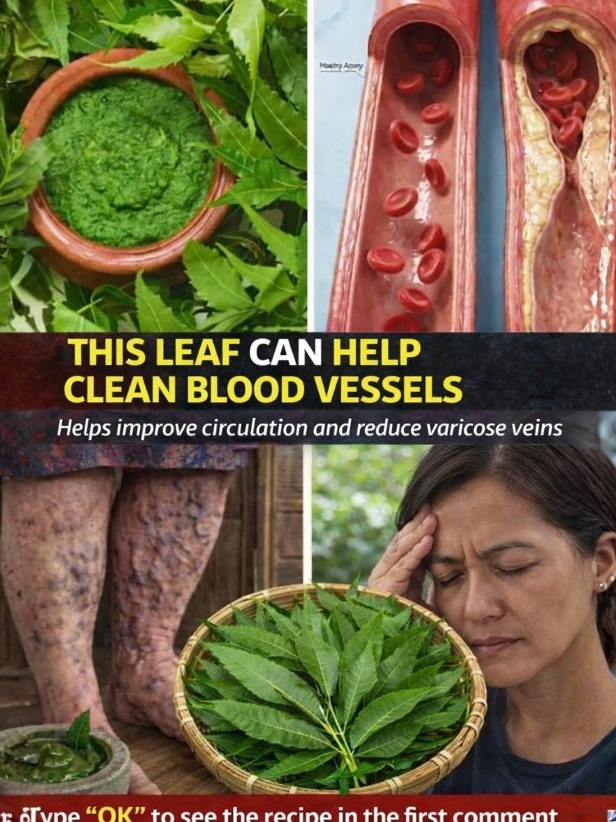 The Ancient Leaf Everyone Is Rediscovering for Unlocking Incredible Circulation & Heart Health – You NEED to Know This!