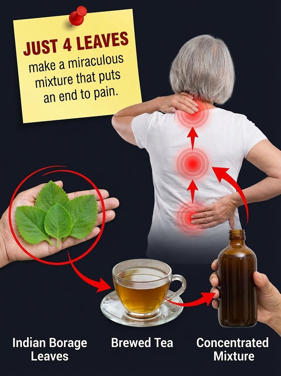The Ancient Secret Brazilians Use for Pain: This 3-Ingredient Herbal Tea Could Transform Your Life!