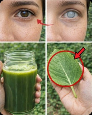 Staring at Screens All Day? This Ancient Aromatic Herb Could Be Your Eye's Best Friend!