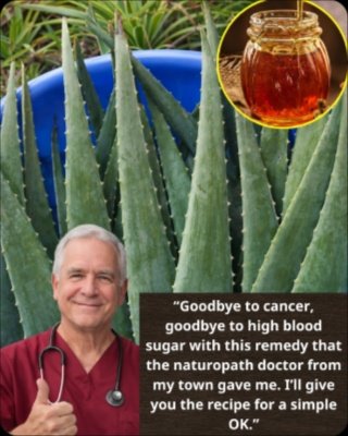 STOP Believing the Hype: Aloe Vera & Honey — What Science REALLY Says About Their 'Miracle' Cures!