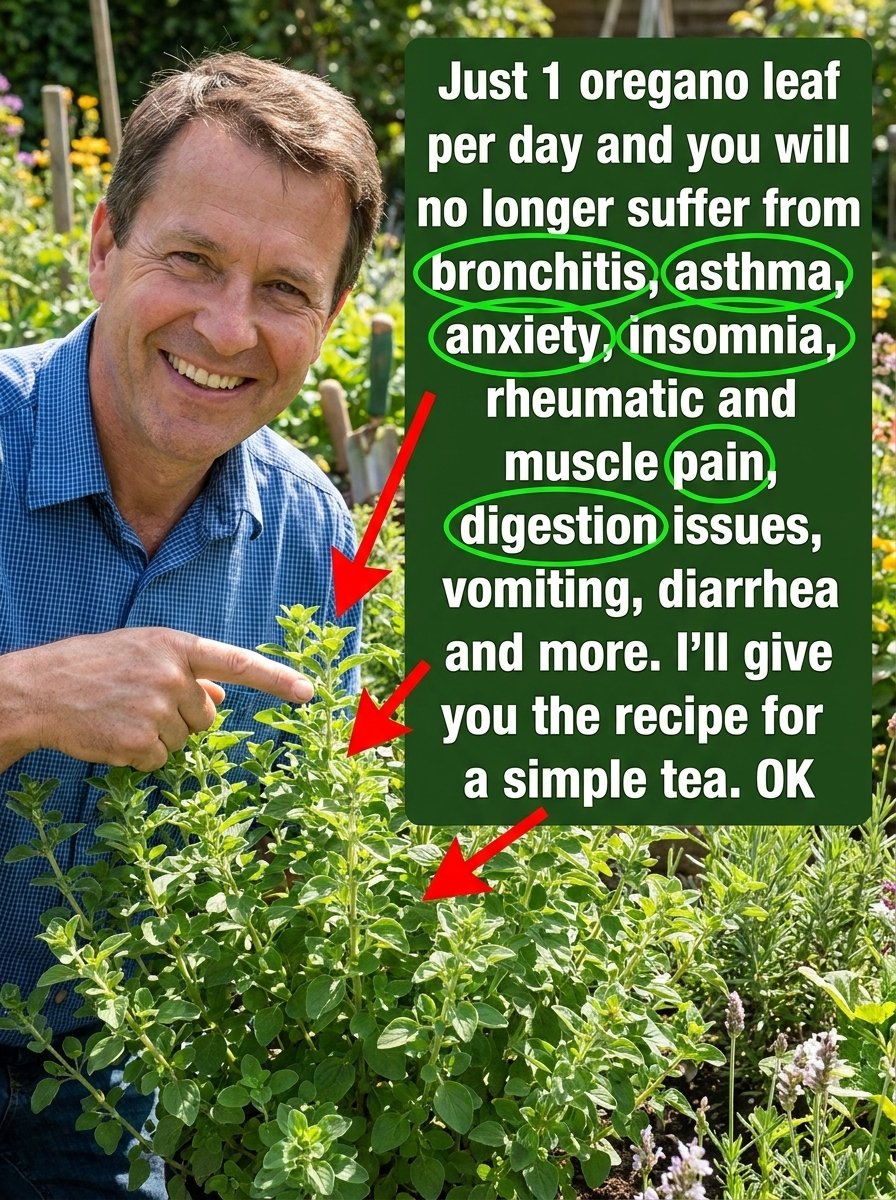 The Ancient Kitchen Secret for Modern Wellness: This 10-Minute Brew Could Change Everything!