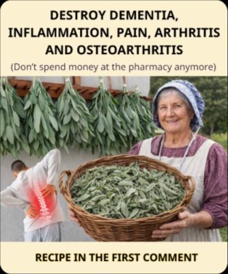 Unlock Its Secret Powers: 6 Shocking Ways a Single Sage Plant Can Transform Your Life (You're Missing Out!)