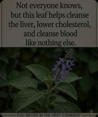 🌿 Unbelievable! This Everyday Kitchen Herb Could Be The Secret Weapon For Sharper Vision