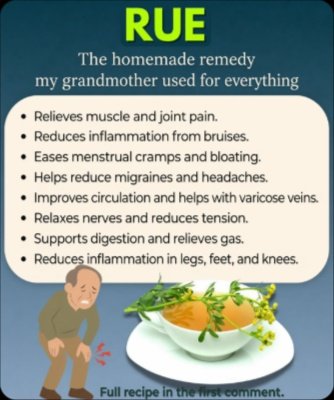 Unlock the Ancient Secret: This Centuries-Old Herb Could FINALLY End Your Joint & Muscle Pain!