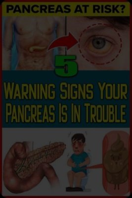 Warning: Your Pancreas Could Be Failing – Here Are 5 Crucial Signs You Can't Afford to Miss!