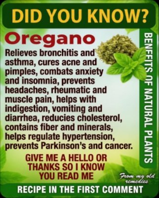 Is THIS Common Plant In Your Home A Secret Superfood? What You DON'T Know Could Change Everything!