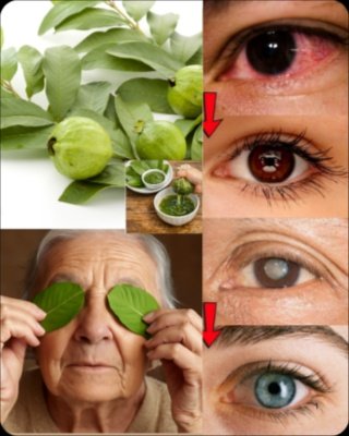 Unlock Brighter Eyes: The Ancient Guava Secret You NEED to Know Now!