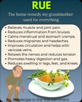 The Ancient Secret to Banishing Joint & Muscle Pain: 3 Rue Recipes You NEED to Know NOW!