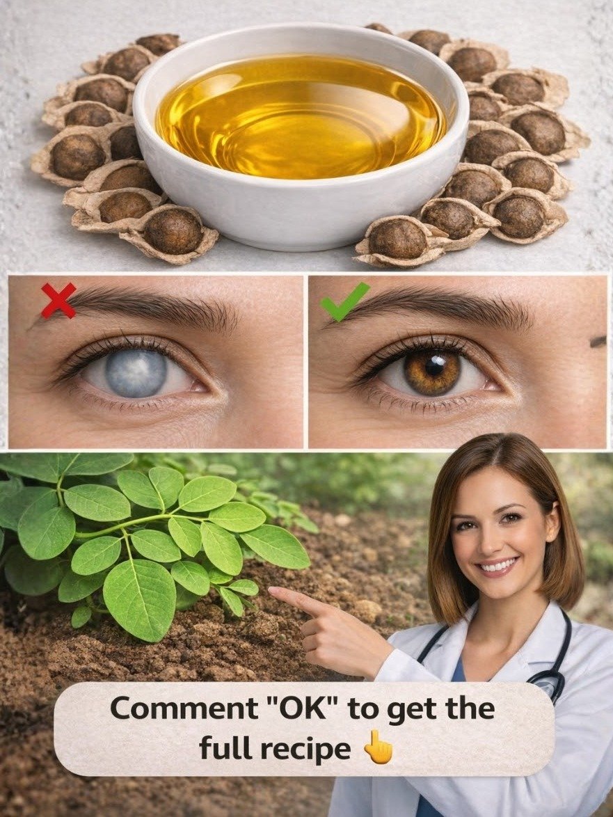 The Tiny Seed Secret: Why Everyone Is Adding Moringa To Their Routine For Unbelievable Health Benefits