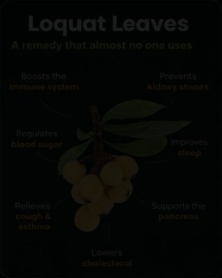 Unlock 10+ Hidden Health Secrets: Why Loquat Leaves Are Your New Must-Have Natural Remedy!