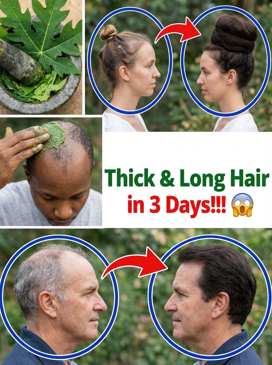 The Viral Hair Secret You NEED to Know: Papaya Leaf Masks for Unbelievable Shine & Growth!
