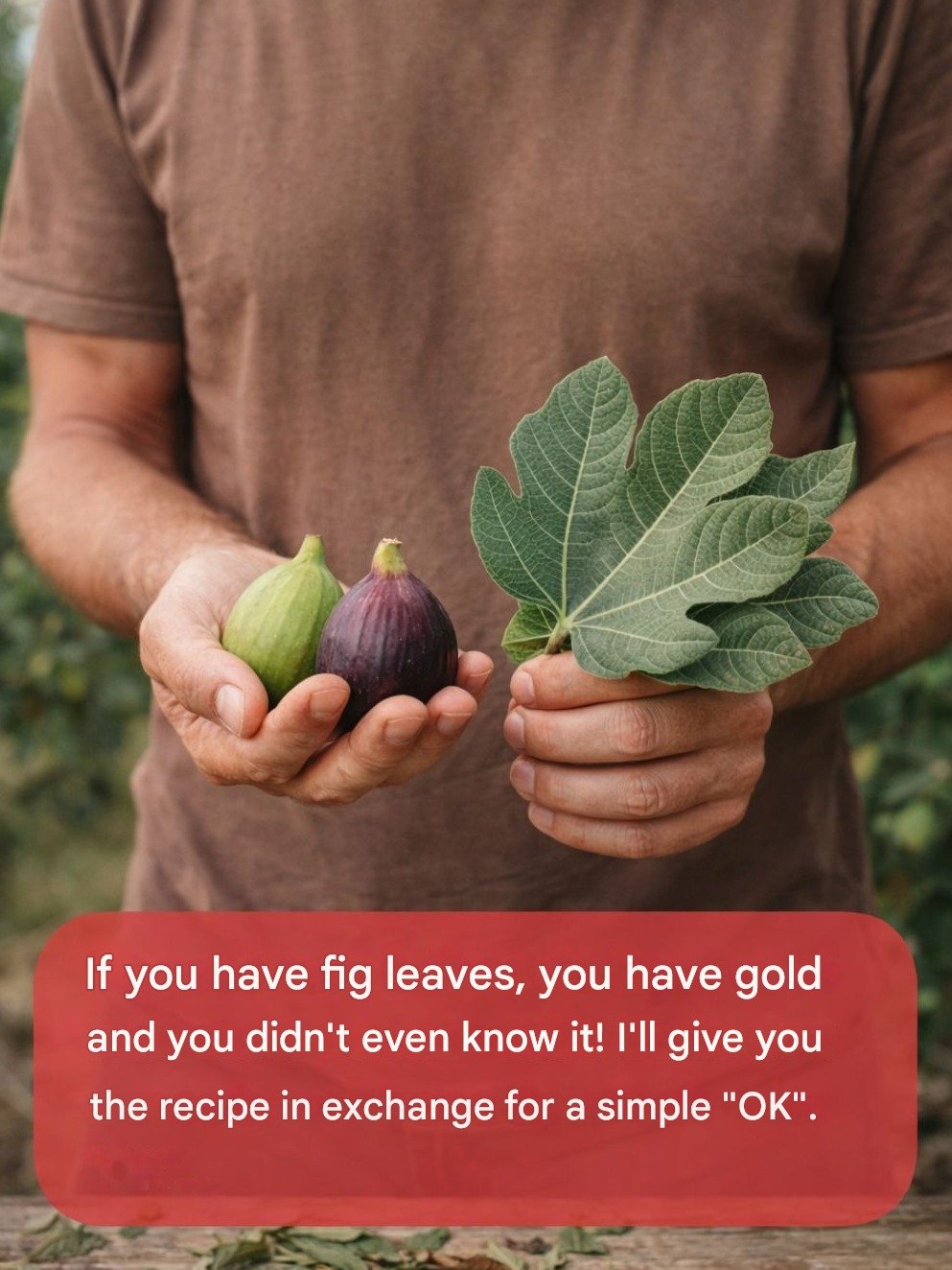 Unlock 10 Hidden Health Secrets: Why You NEED to Start Using Fig Leaves TODAY!