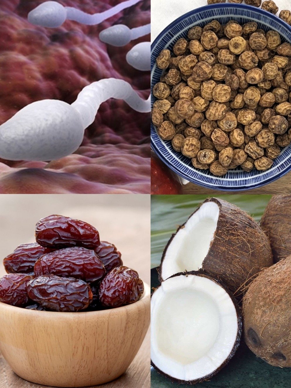 The Hidden Secret to Boosting Male Fertility? This 3-Ingredient Drink Could Change Everything!