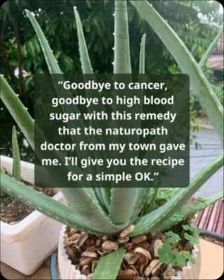 Unlock Your Body's Secret Weapon: The Lemon & Nopal Drink You NEED to Try Today!