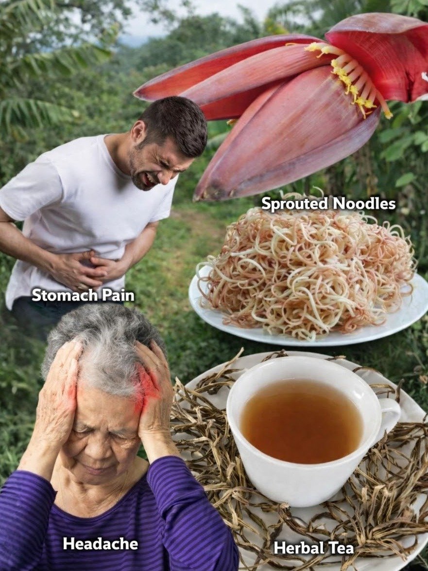 The 'Forgotten' Superfood That Could REVOLUTIONIZE Your Hormones, Digestion & Vitality (Don't Miss Out!)