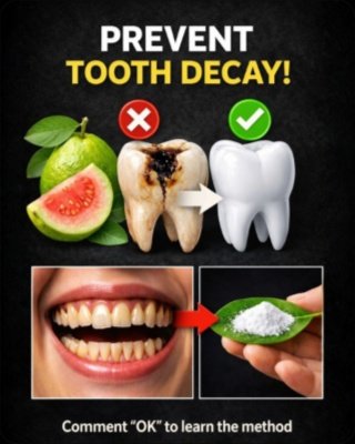 The Ancient Secret to a Cavity-Proof Smile? 3 Guava Leaf Remedies You'll Wish You Knew Sooner!