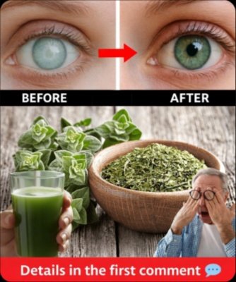 The Secret Herb That Could Give You 20/20 Vision & Transform Your Health From Head to Toe!