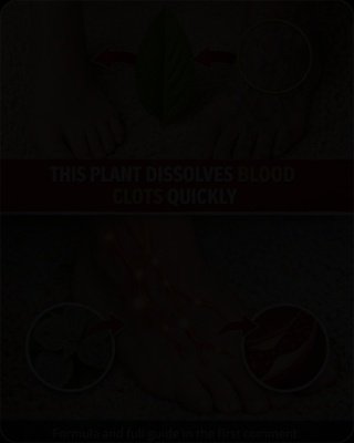 STOP the Drag! 6 Ancient Herbs That Could Transform Your Circulation & Energy After 40