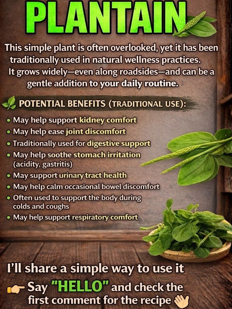 The Forgotten 'Weed' Hiding In Your Backyard: 7 Shocking Benefits of Plantain Leaf Tea (Llantén) You Need NOW!