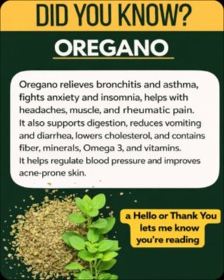 Unlock 8 Hidden Health Benefits: Why Oregano Is Your New Wellness Secret Weapon (Don't Miss Out!)