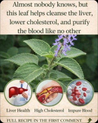 Unlock Sharper Vision: The Everyday Herb Hiding in Your Kitchen That Could Transform Your Eye Health!