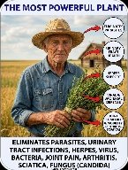 The Ancient Plant Secret That Generations Swore By – And How YOU Can Safely Unlock Its Power Today