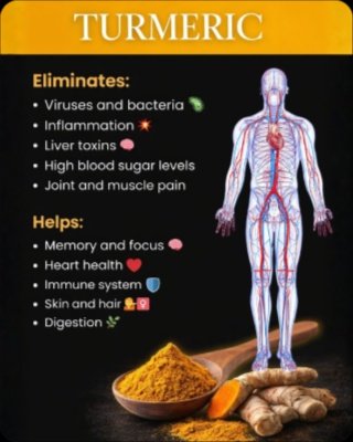 Unlock the Ancient Secret: 6 Life-Changing Benefits of Turmeric You Can't Afford to Miss!