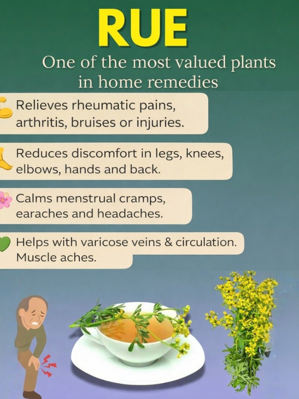 The Ancient Secret to Better Health: 15 Astonishing Ways Rue Can Transform Your Life!