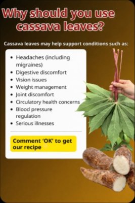 The Underrated Superfood? Unlock the Hidden Power of Cassava Leaves (But Only If You Know THIS Critical Step!)