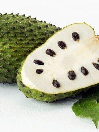 Is Soursop a Cancer Cure? The Shocking Truth About Guanábana Benefits & What Scientists Are REALLY Saying!