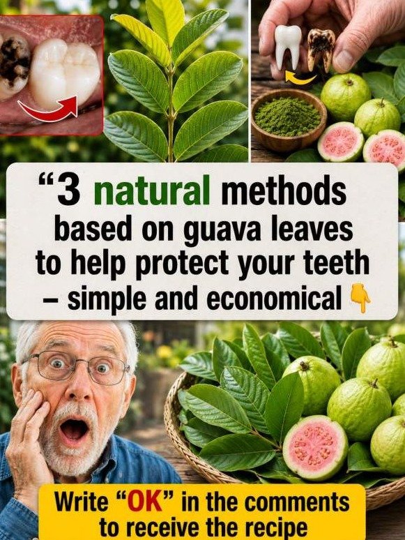 The Shocking Secret Your Dentist Won't Tell You: This Humble Leaf DESTROYS Cavities and Bad Breath!