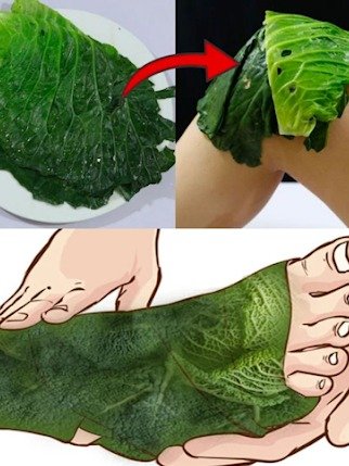 The Secret Your Grandma Knew: This Humble Leaf Can NATURALLY Soothe Your Varicose Veins!