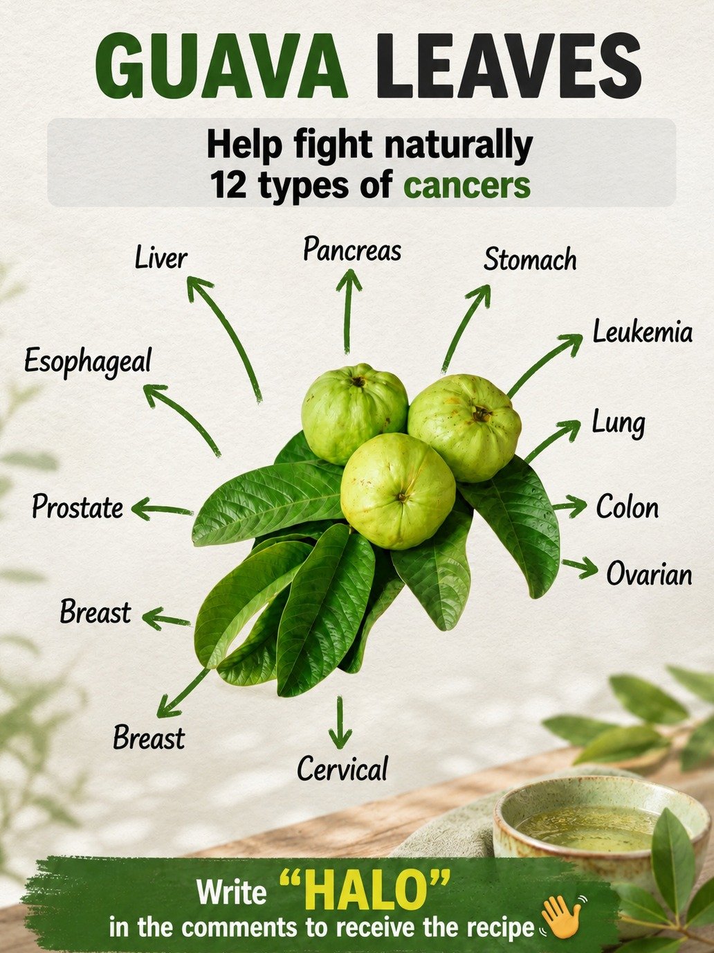Unlock the Secret Power of Guava Leaves: The Ancient Tea That Could Revolutionize Your Wellness! 🌿🍵