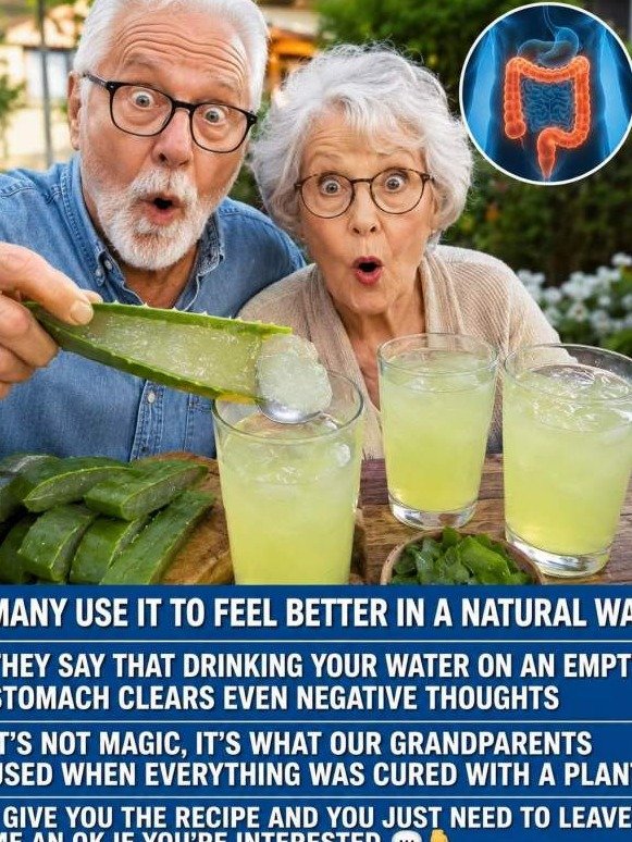 Unlock Your Body's Secret 'Flush': Why This Simple Aloe Vera Trick Is About to Change Everything You Feel