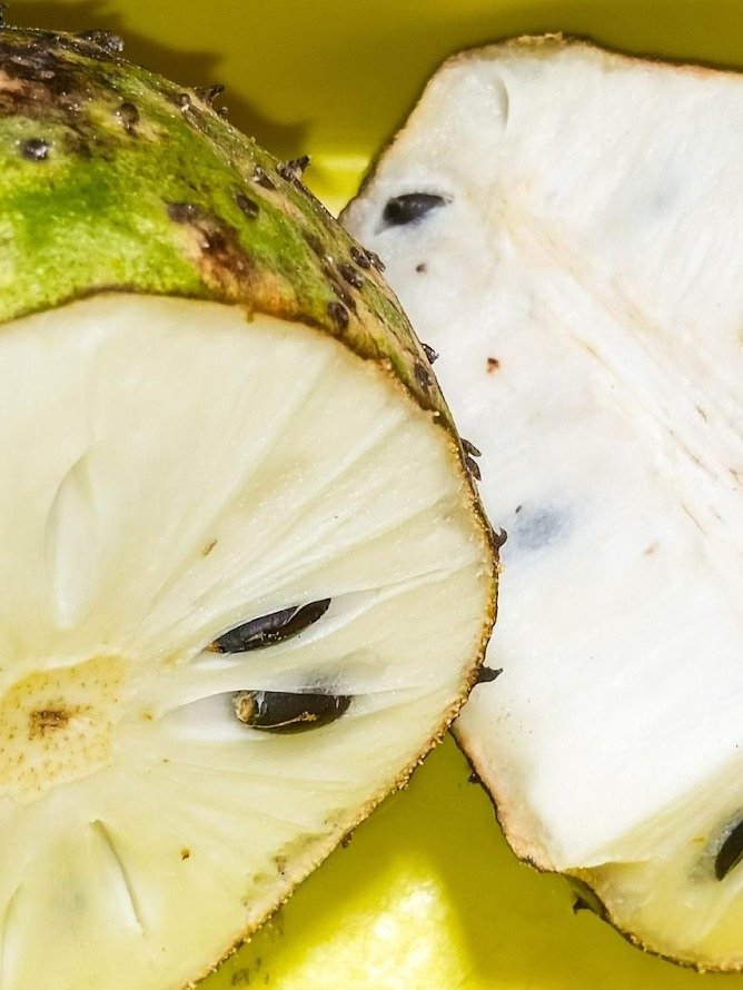 The Graviola Secret: What Science *Really* Says About This Viral Tropical Fruit (And How to Make Its Healthiest Smoothie!)