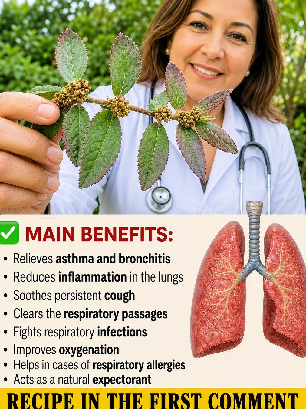 Unlock Your Body's Hidden Power: This Humble 'Asthma Weed' Could Be the Secret to Stronger Lungs & Pain-Free Joints!