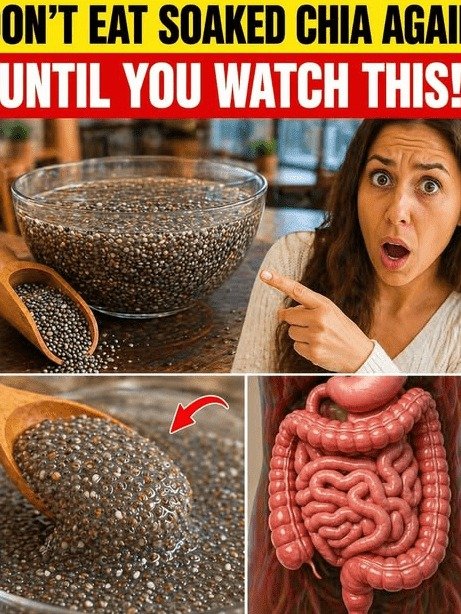 Bloated After Chia Seeds? You're Making These 5 CRITICAL Soaking Mistakes (Stop Sabotaging Your Gut Health!)