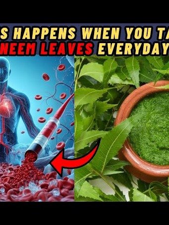 The Ancient Secret You're Missing: This One Leaf Could REVOLUTIONIZE Your Health!